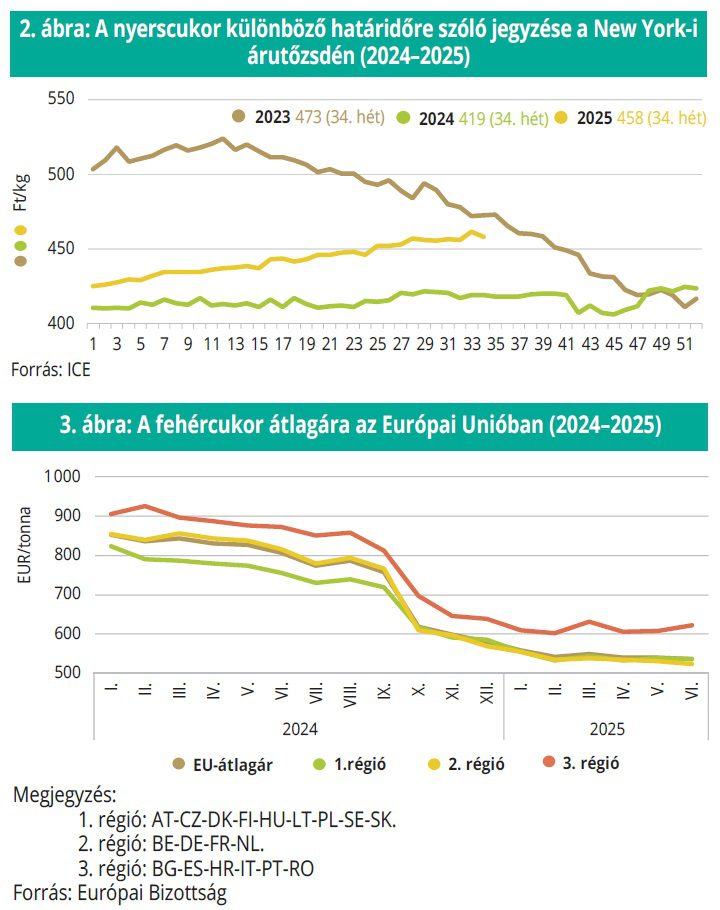 nyerscukor_newyork_eu