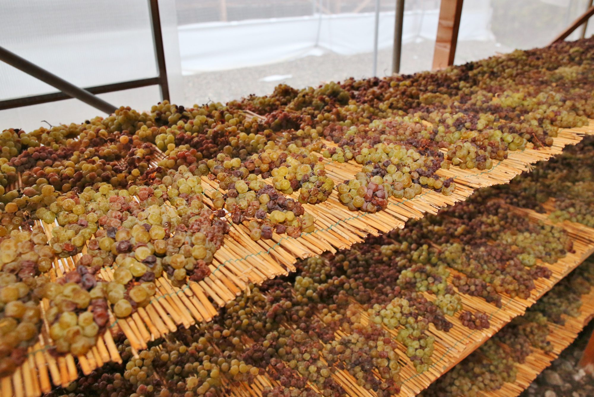 Különleges termék a szalmabor, amihez a leszedett fürtöketkíméletesen szárítják