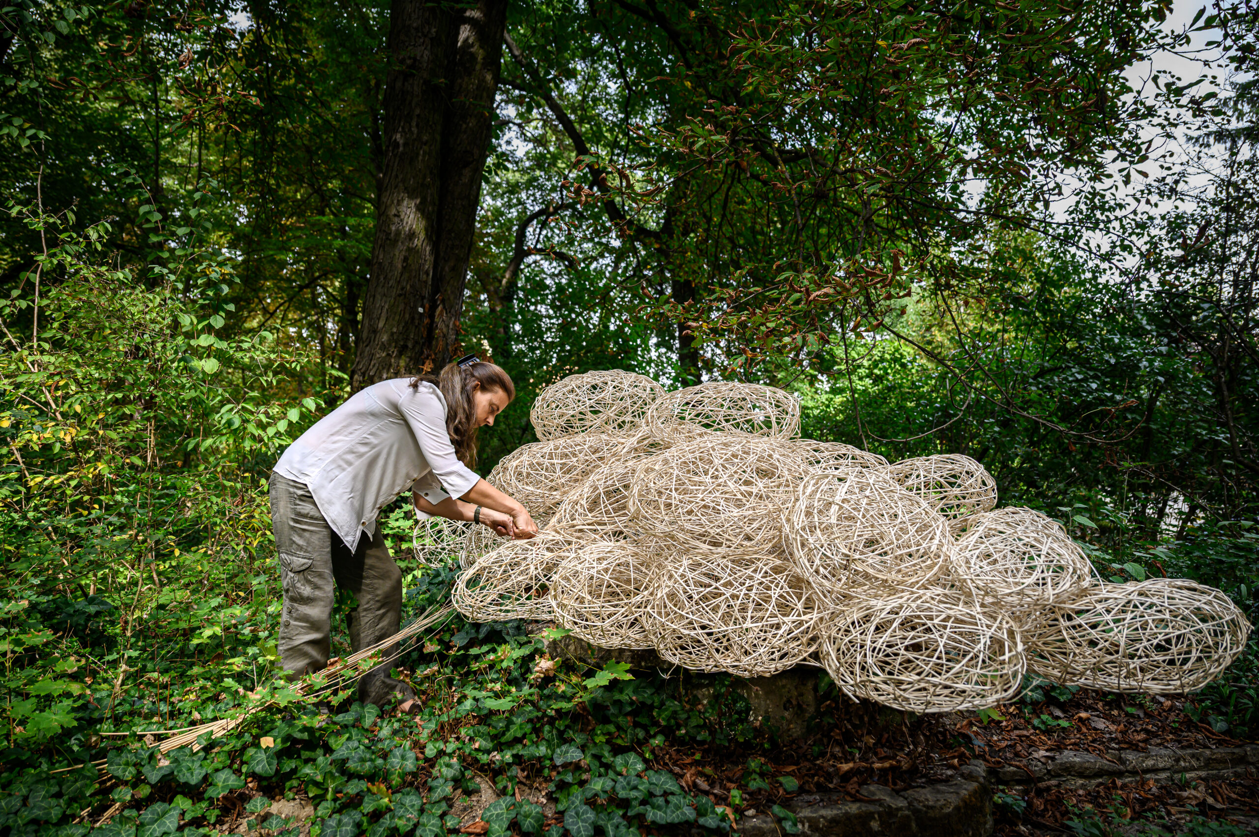 szentpéteri zsuzsanna vácrátót