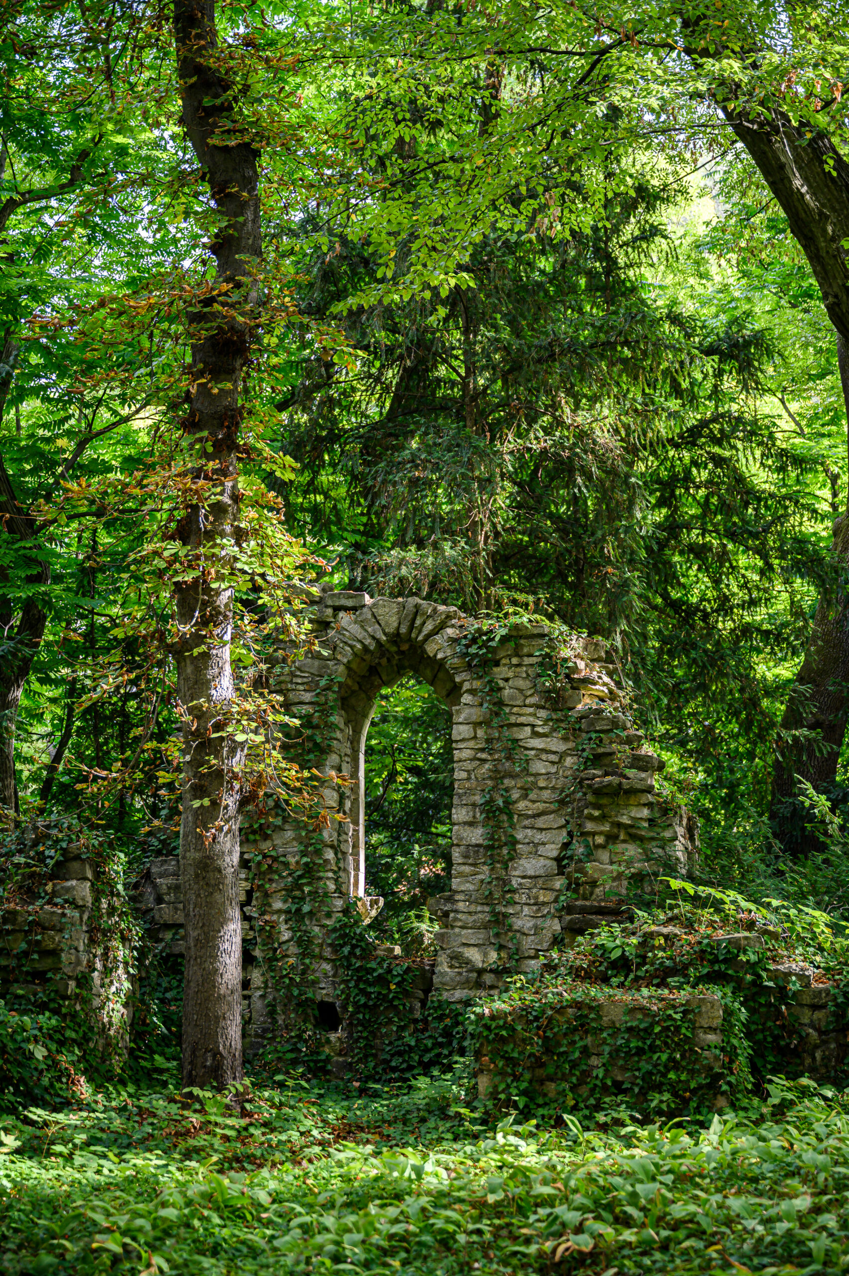 vácrátóti botanikus kert kertészet a mi erdőnk
