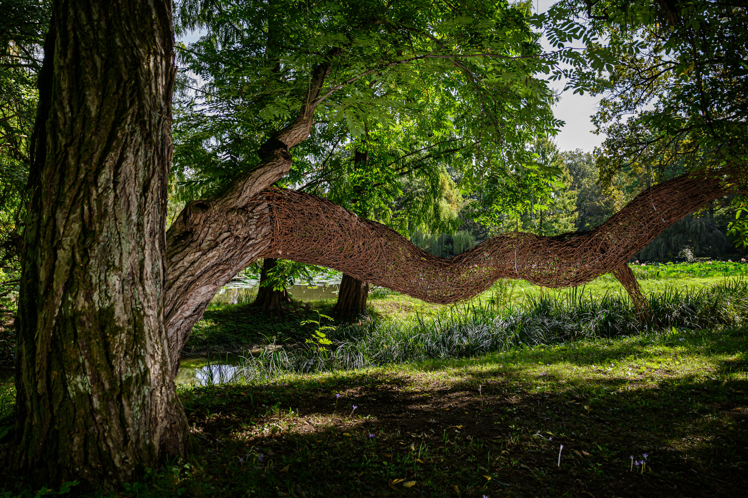Természet a művészetben – művészet a természetben
