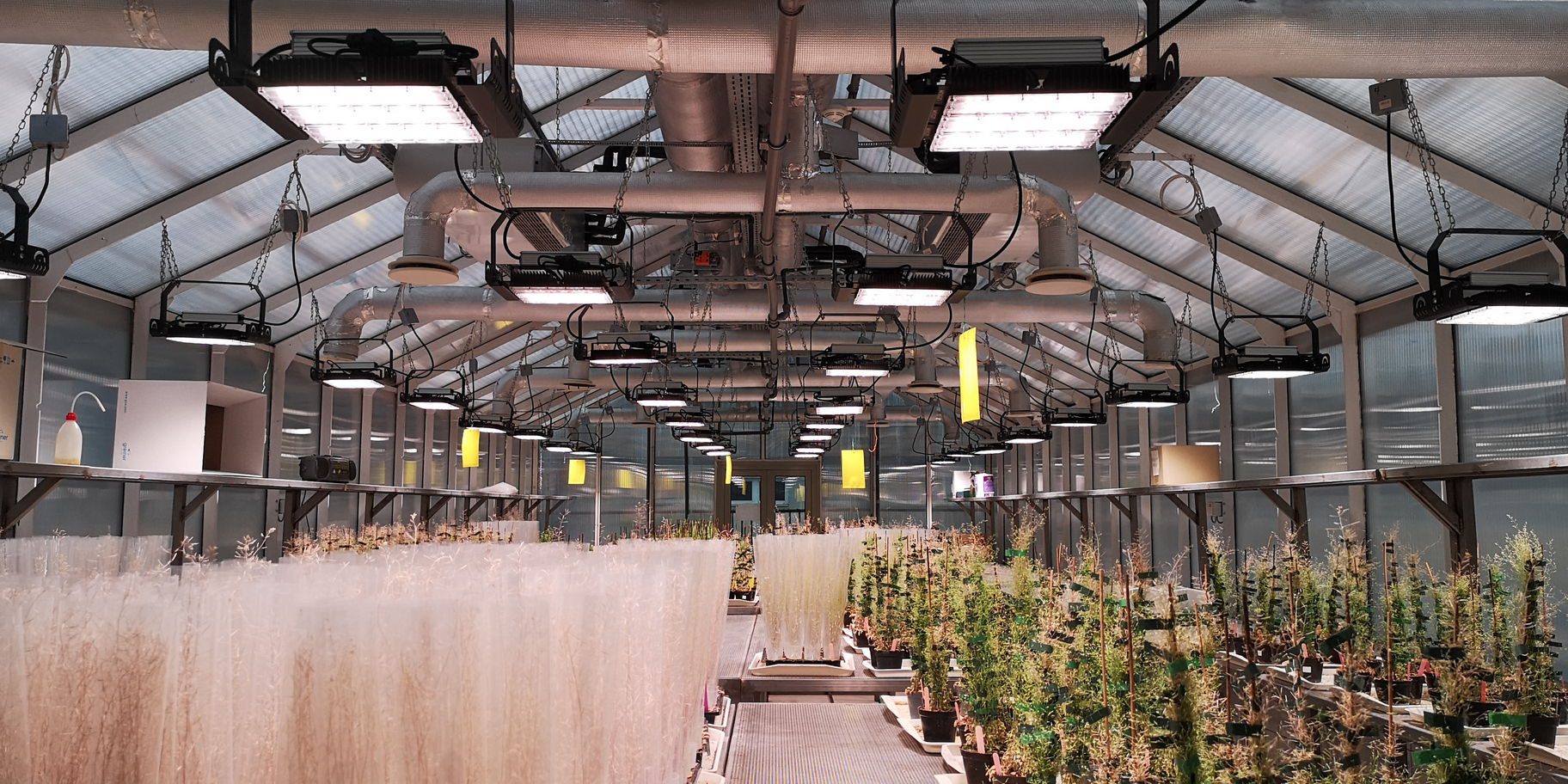 uveghaz-led-vilagitas-ledium-black-sparkle-lampakkal