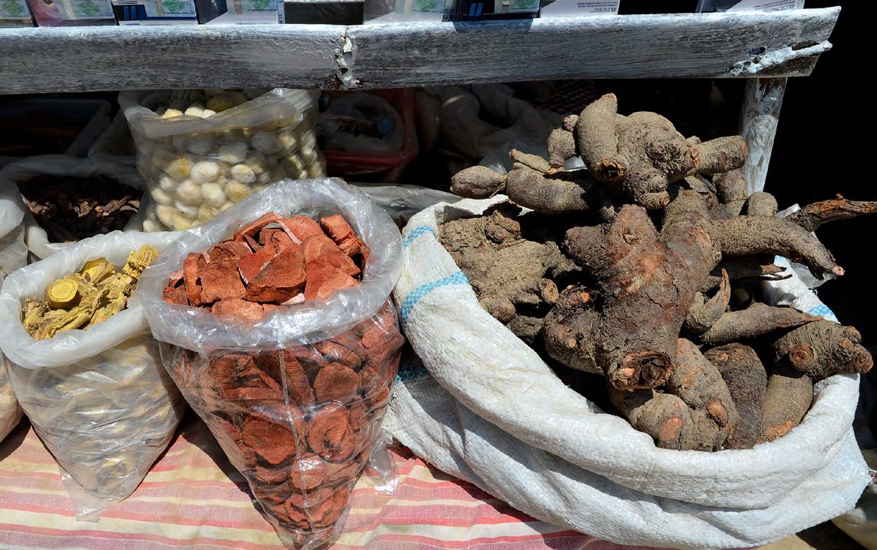 Az üzbég piacokon sokféle növényi gyökeretárulnak gyógyításra és illatosításra
