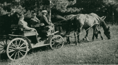 A ravazdi erdőhivatal barkácsolókocsija(forrás: epa.oszk.hu)