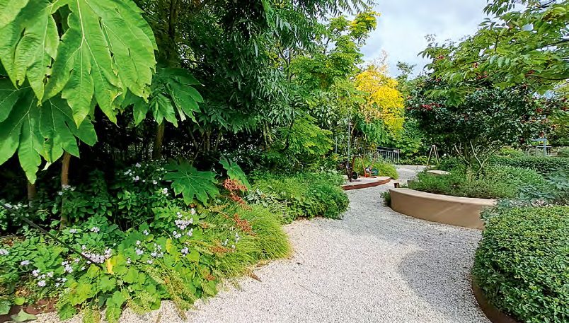 Ötödik generációs holland faiskola