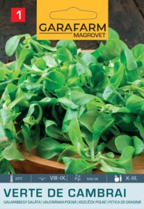 Magvadászat – hogyan válasszunk zöldség és virágmagokat?