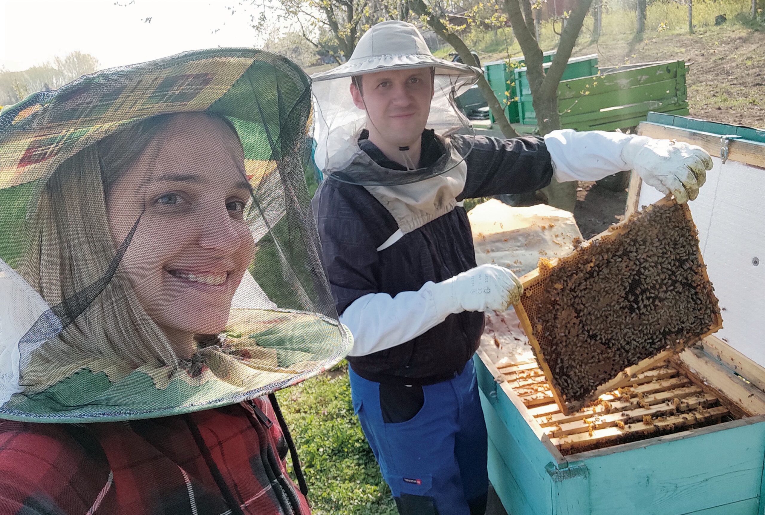 DemeMéz, a kaptár kincse