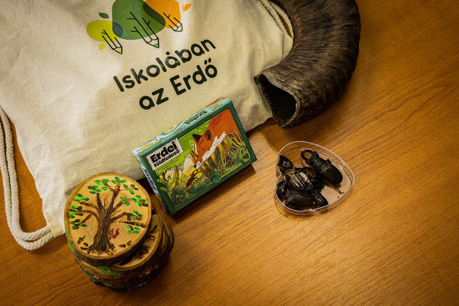 iskolában az erdő oee