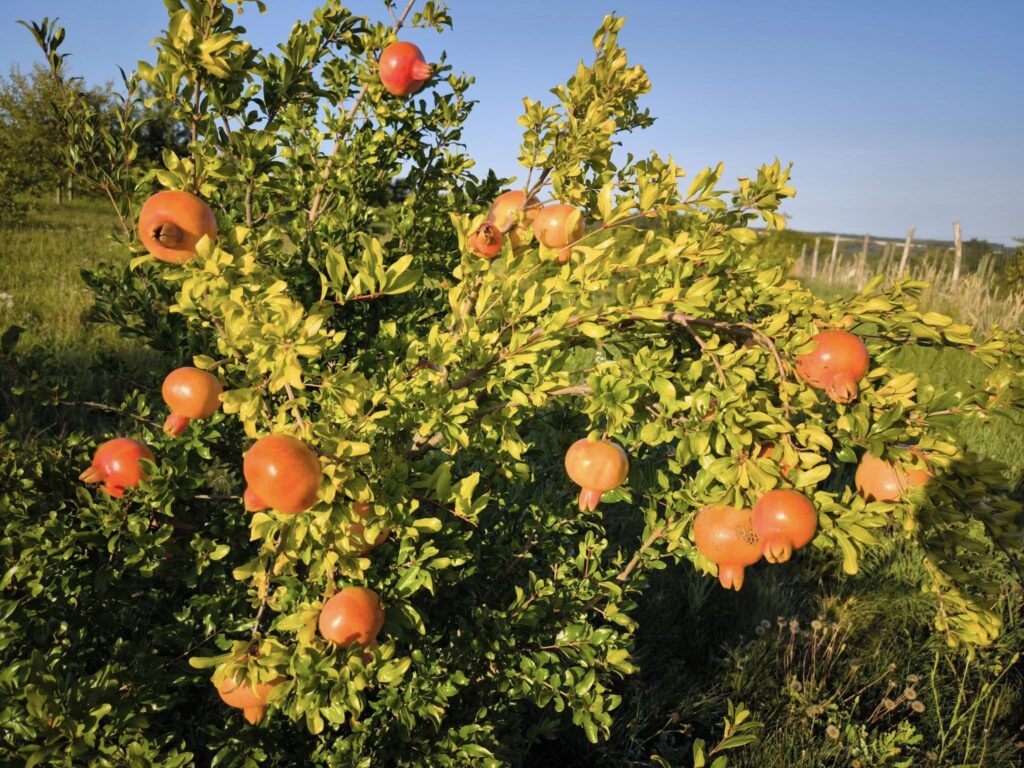 Komoly téli lehülés jöhet – figyelmeztet a szakember