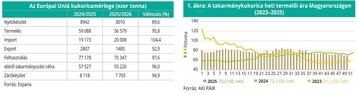 europa_kukorica_aki3
