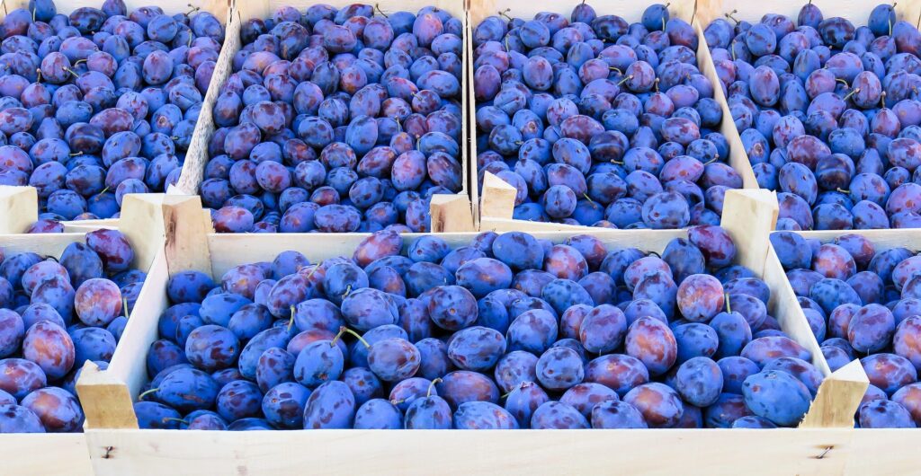 Moldova kihasználatlan lehetőségei