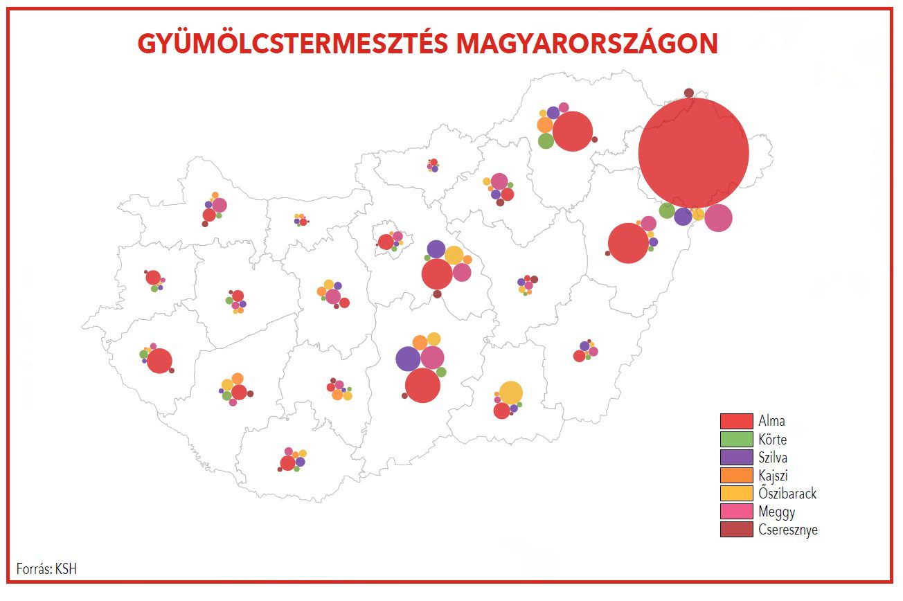 gyumtermesztes_magyarorszagon