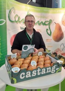 Aranyat hozó körte és szamóca