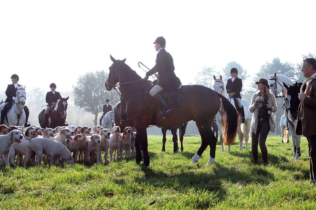 kopó vadászat nyomkövetéses vadászat