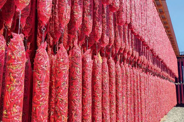 Mi van a paprikában, amiért az egész világ rajong?