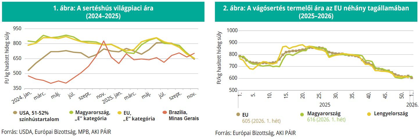 serteshus_vagosertes_aki_4het