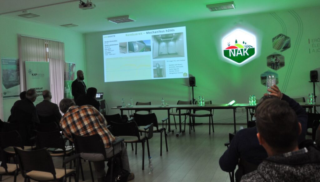 Zöldségtárolás zöld fényben