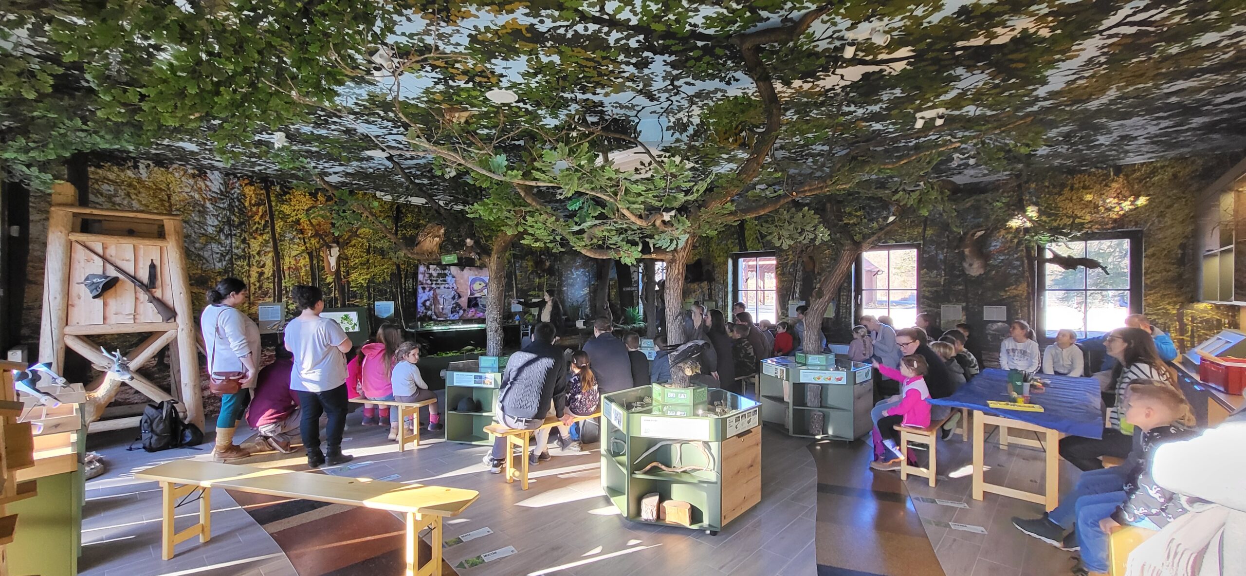 Az Erdő Háza interaktív erdejébenidőjárástól függetlenül is megvalósíthatók a foglalkozások, előadások