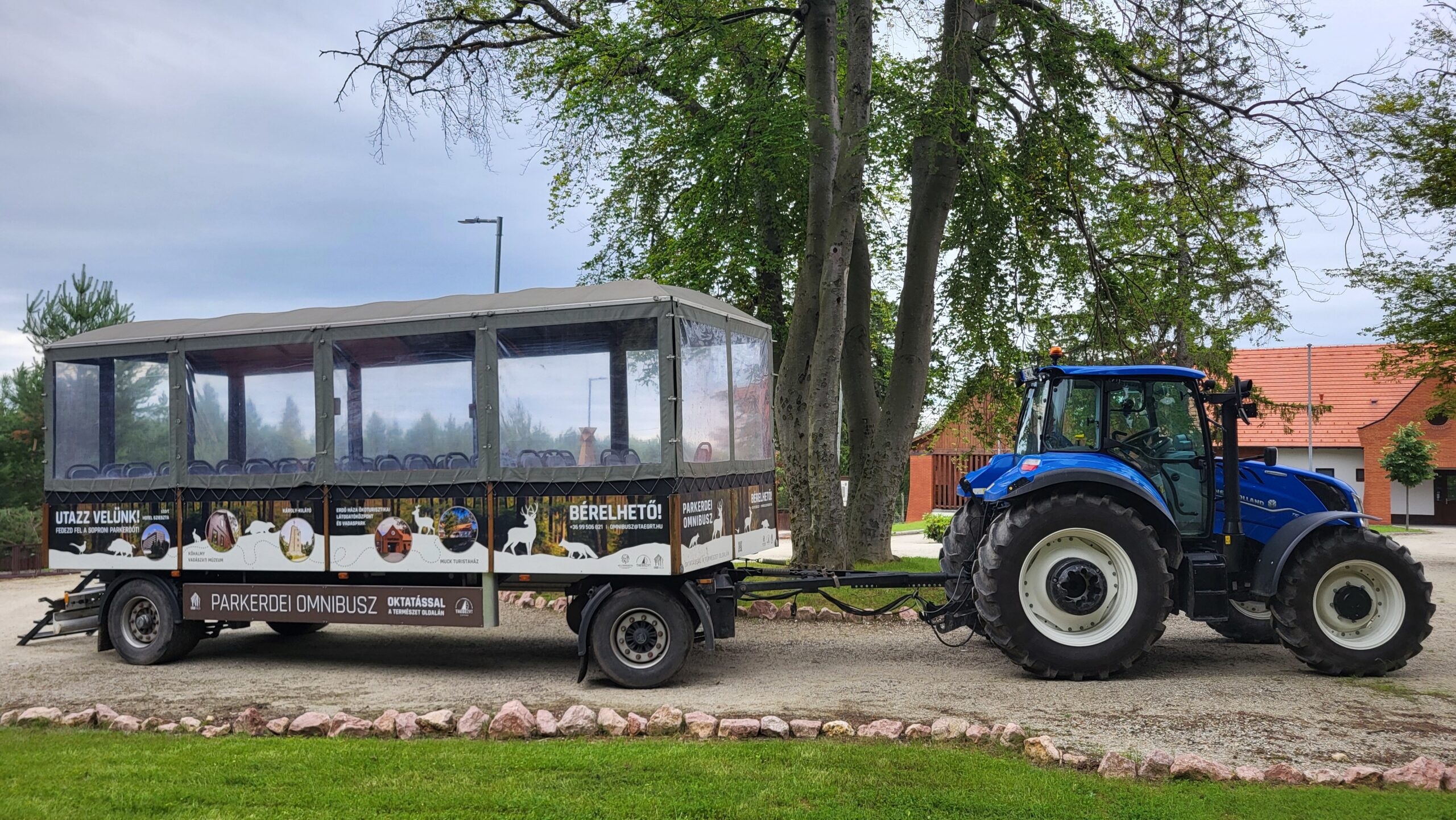Szórakozva tanulás a Soproni Parkerdőben