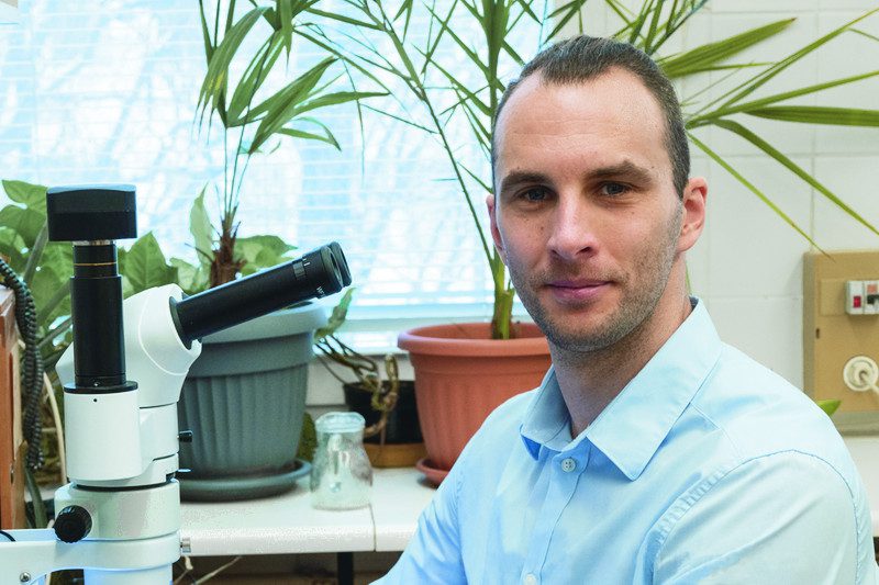 Repcével a nehézfémek ellen