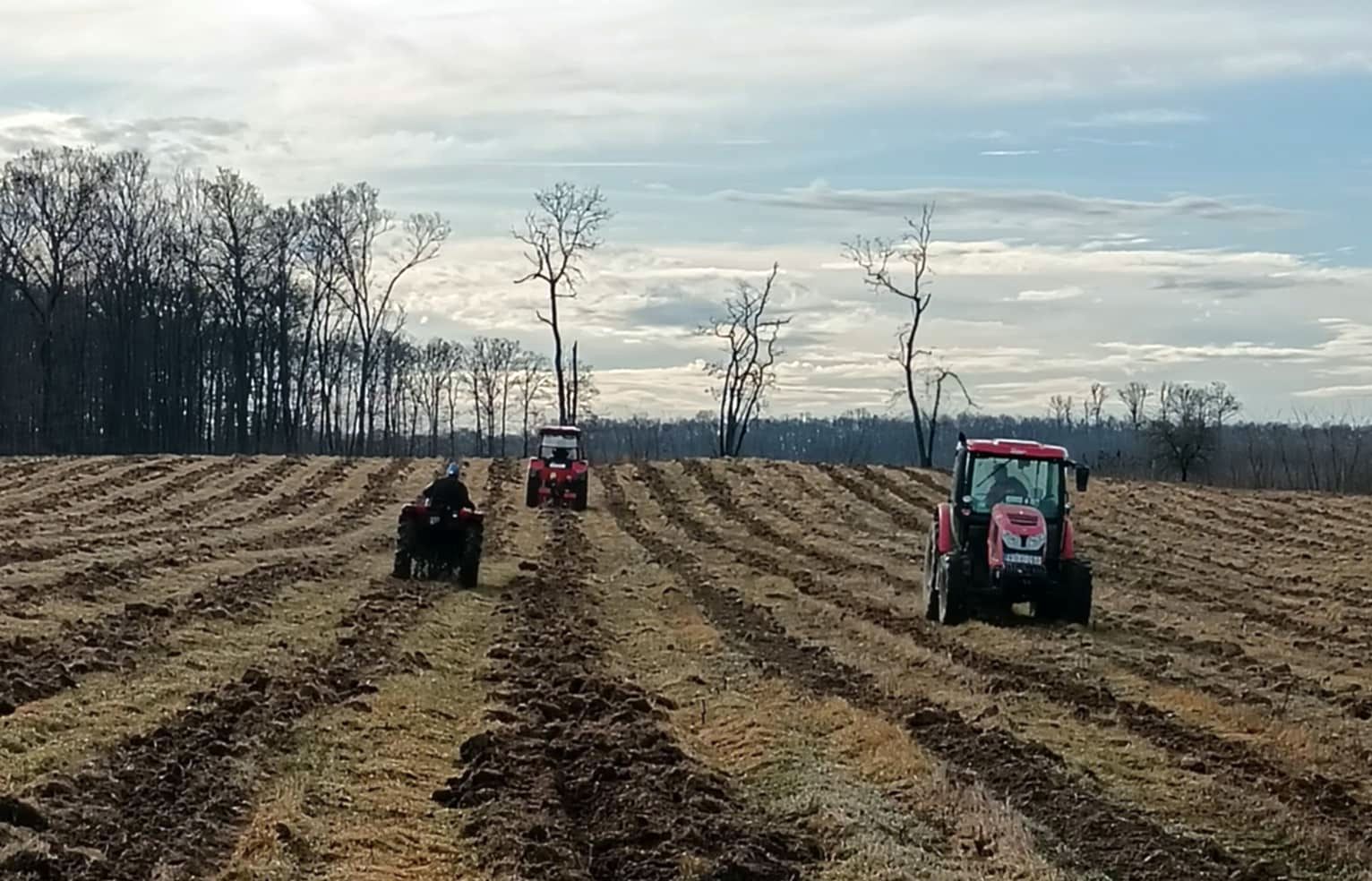 erdőfelújítás vadex