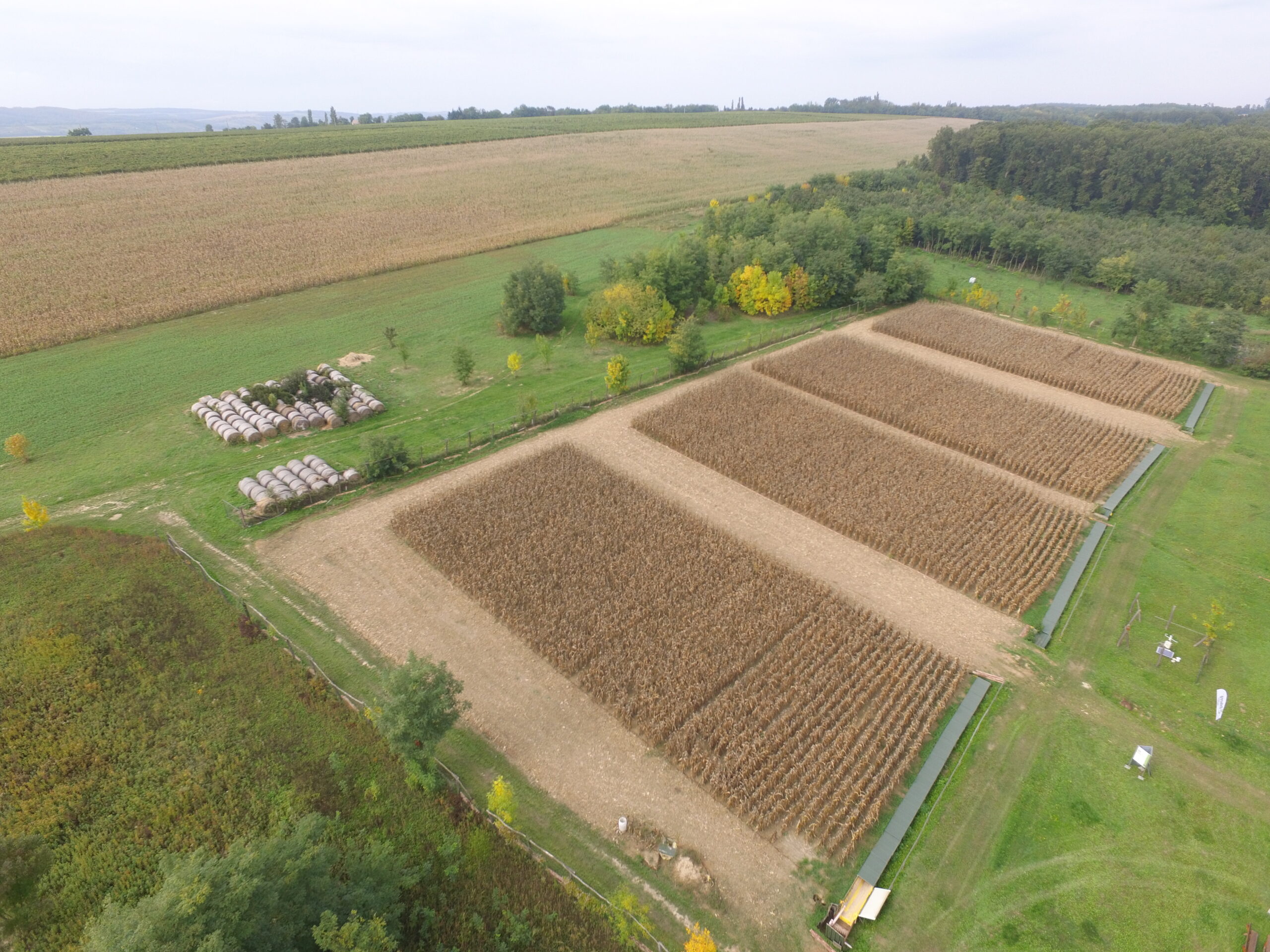 Talajművelési gyakorlatok összehasonlító tartamkísérlete – Húsz év tanulságai Zalából