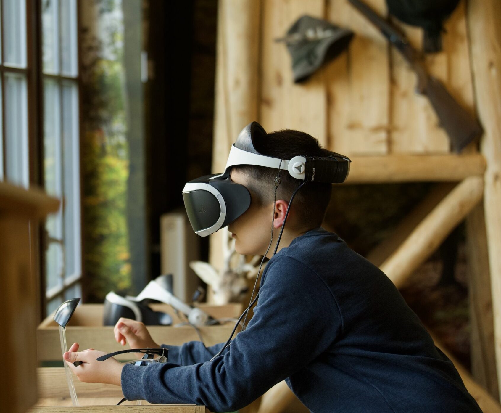 VR-technikával akár madártávlatból is felfedezhető az erdei környezet