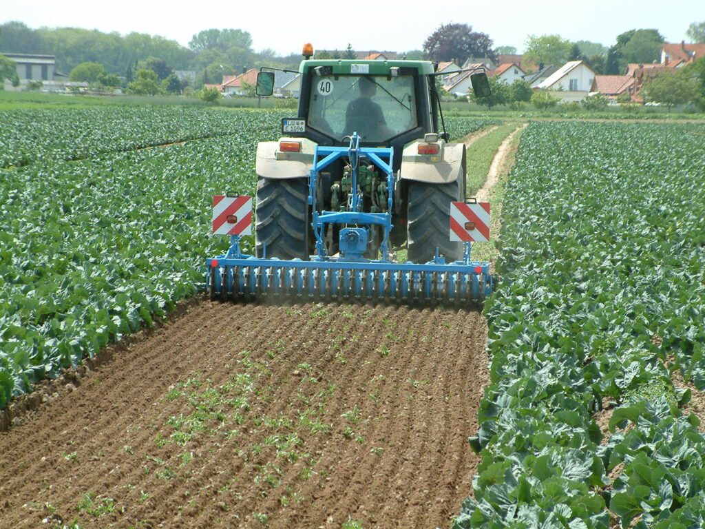 Mélyben a hangulat, nagy beruházások nem várhatók