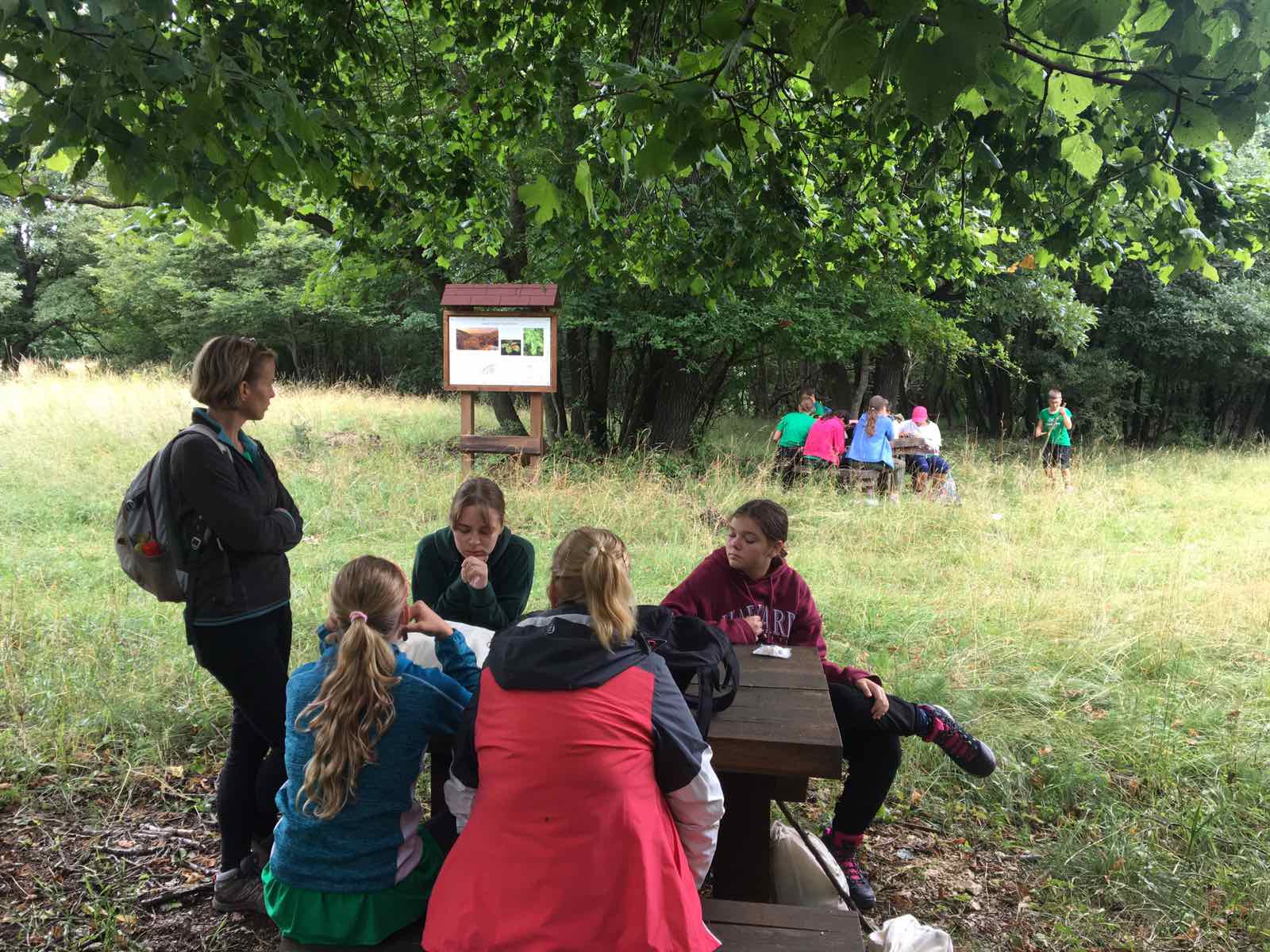 Erdei pihenő a kasztbokorerdőkről szóló állomásnál