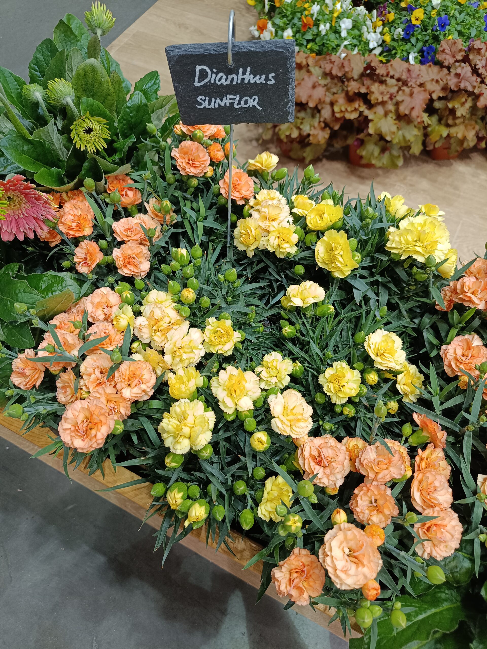 Megnyílt a 10. jubileumi Myplant & Garden Milánóban