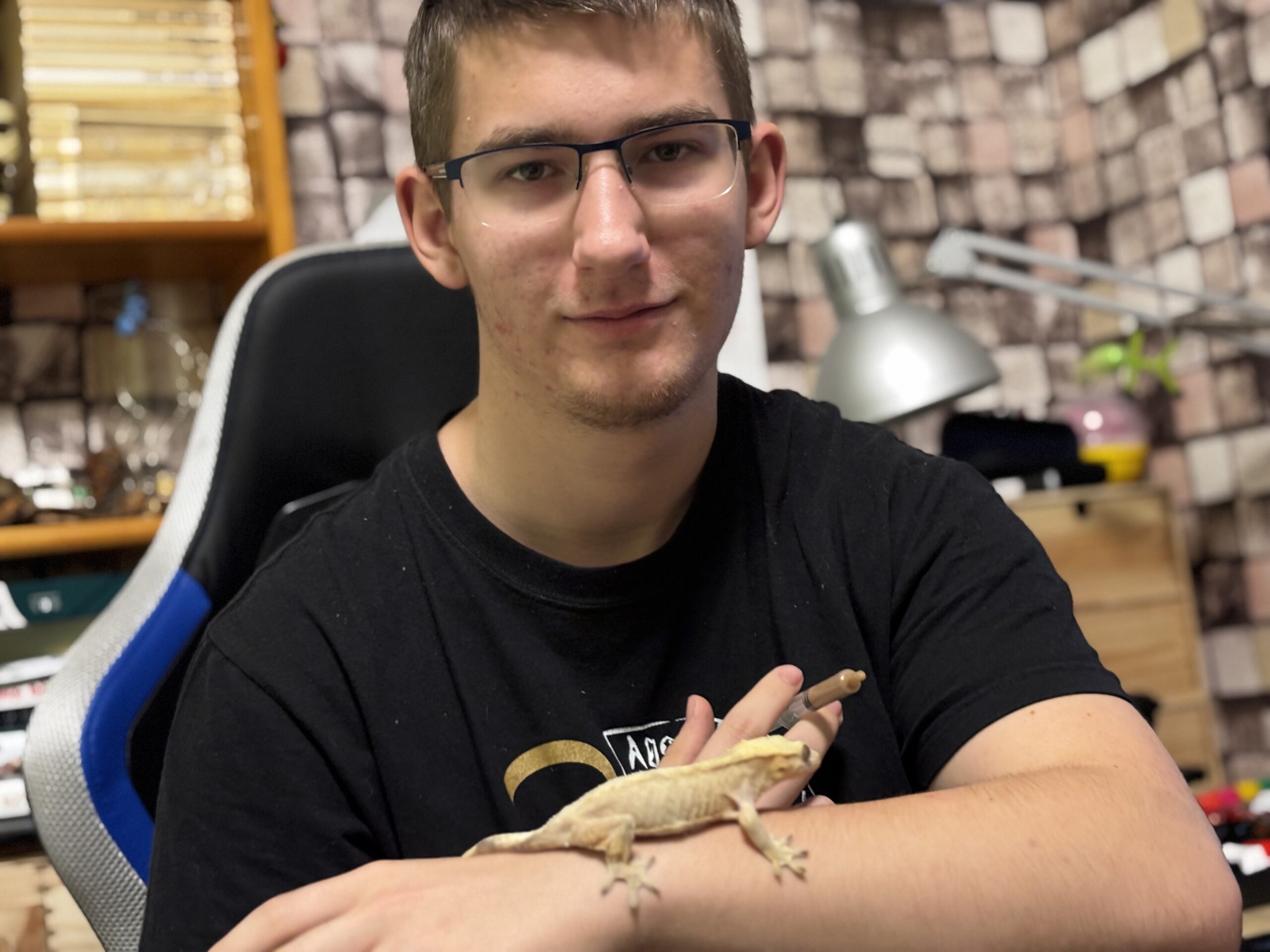 A kihalás szélétől a terráriumig – A vitorlásgekkó feltámadása