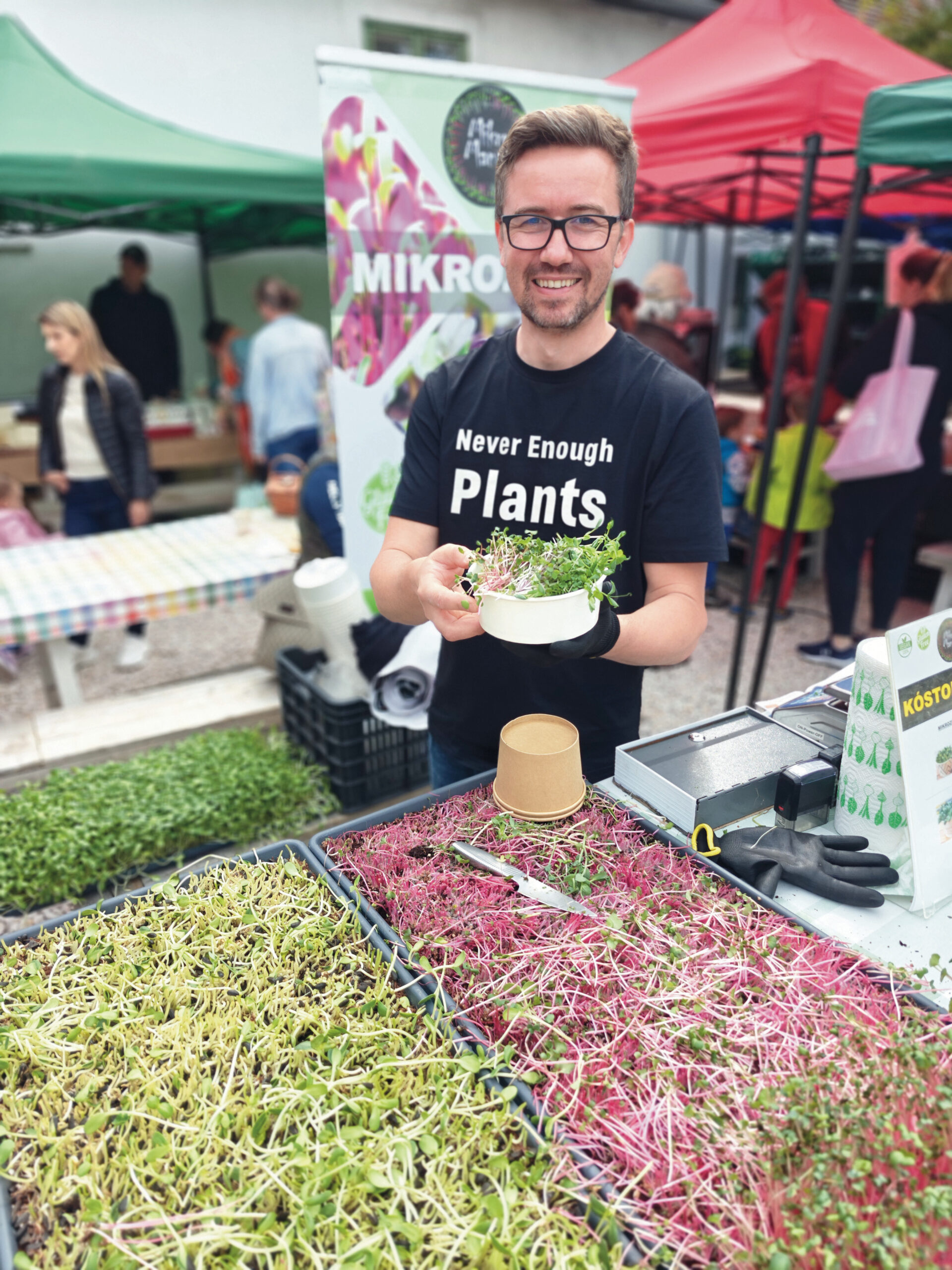 Mikrozöldek bűvöletében