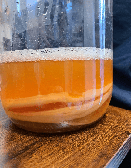 kombucha magyar vidék