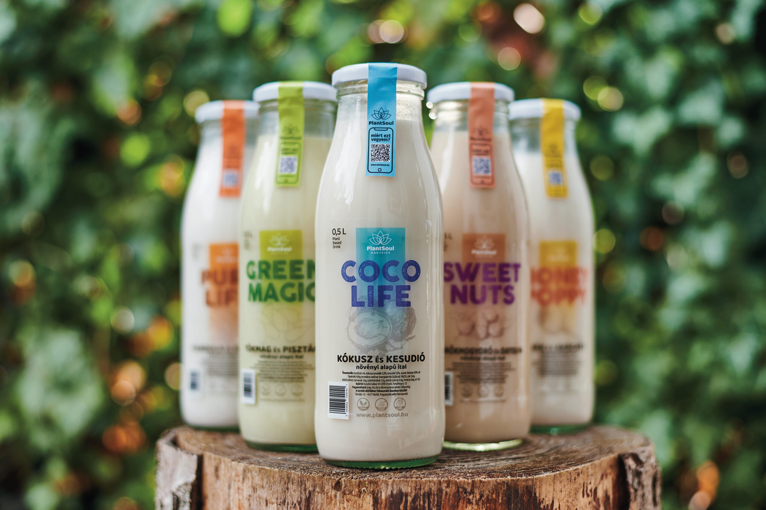 Kézműves magtejek Etyekről