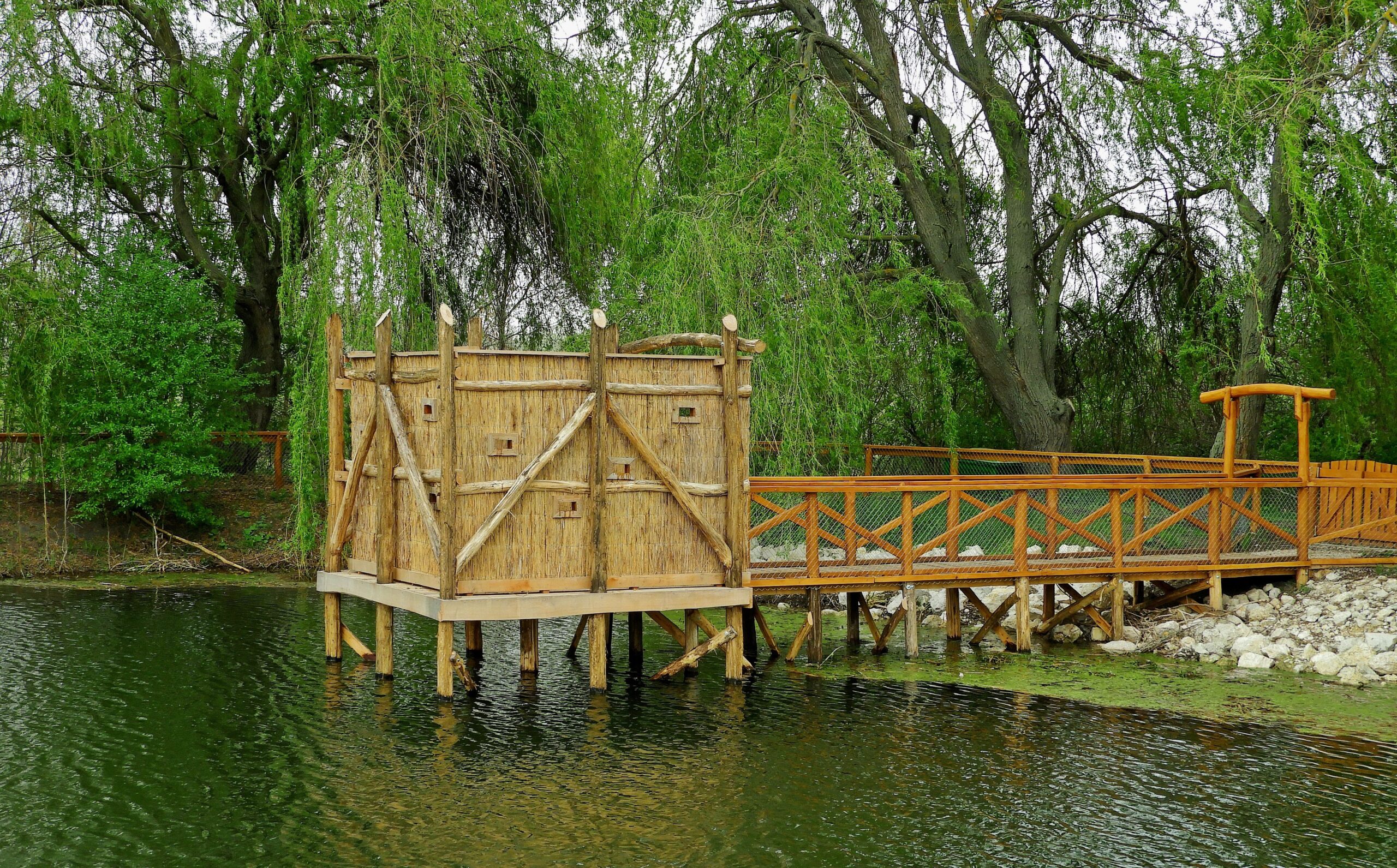 Vízivilág megfigyelő pont a PákozdiPagonyban