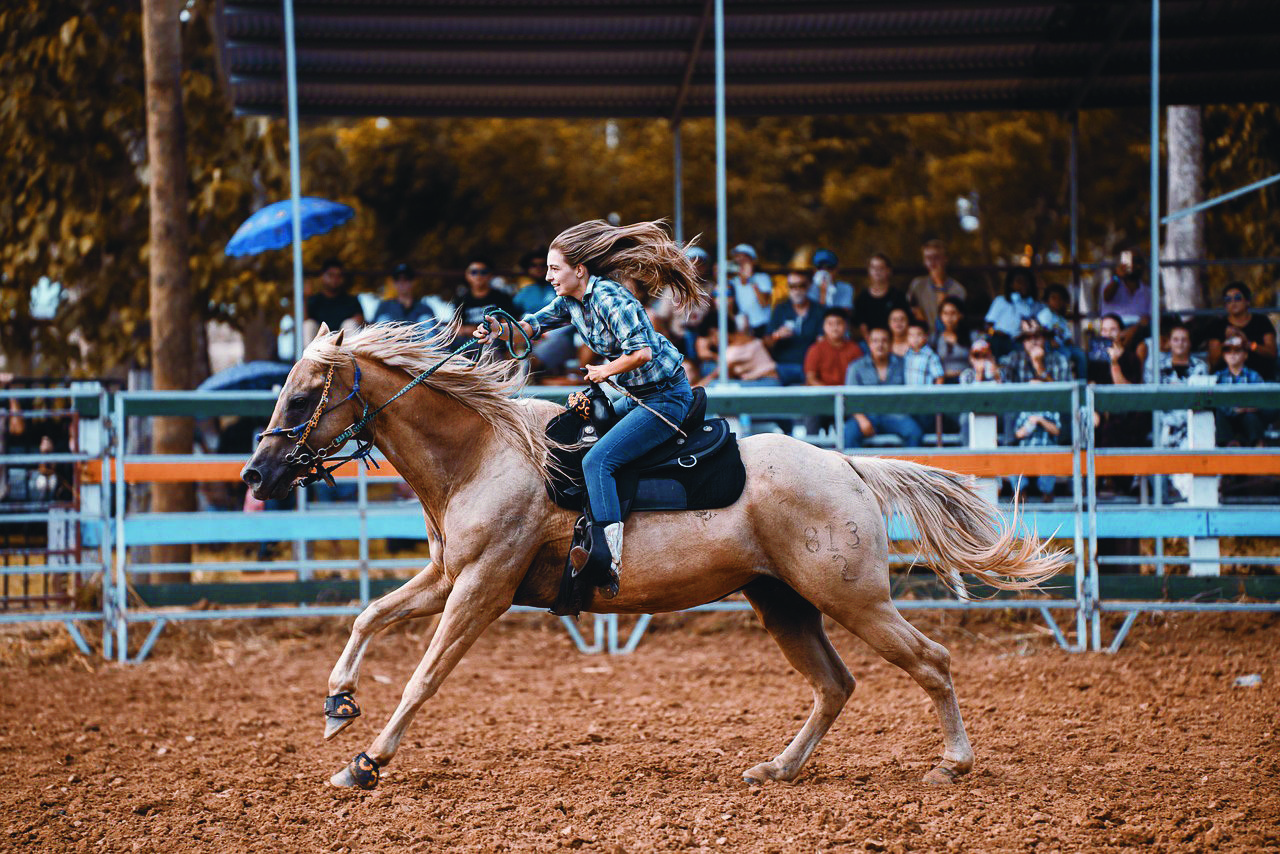 rodeo verseny lovas ló egészség