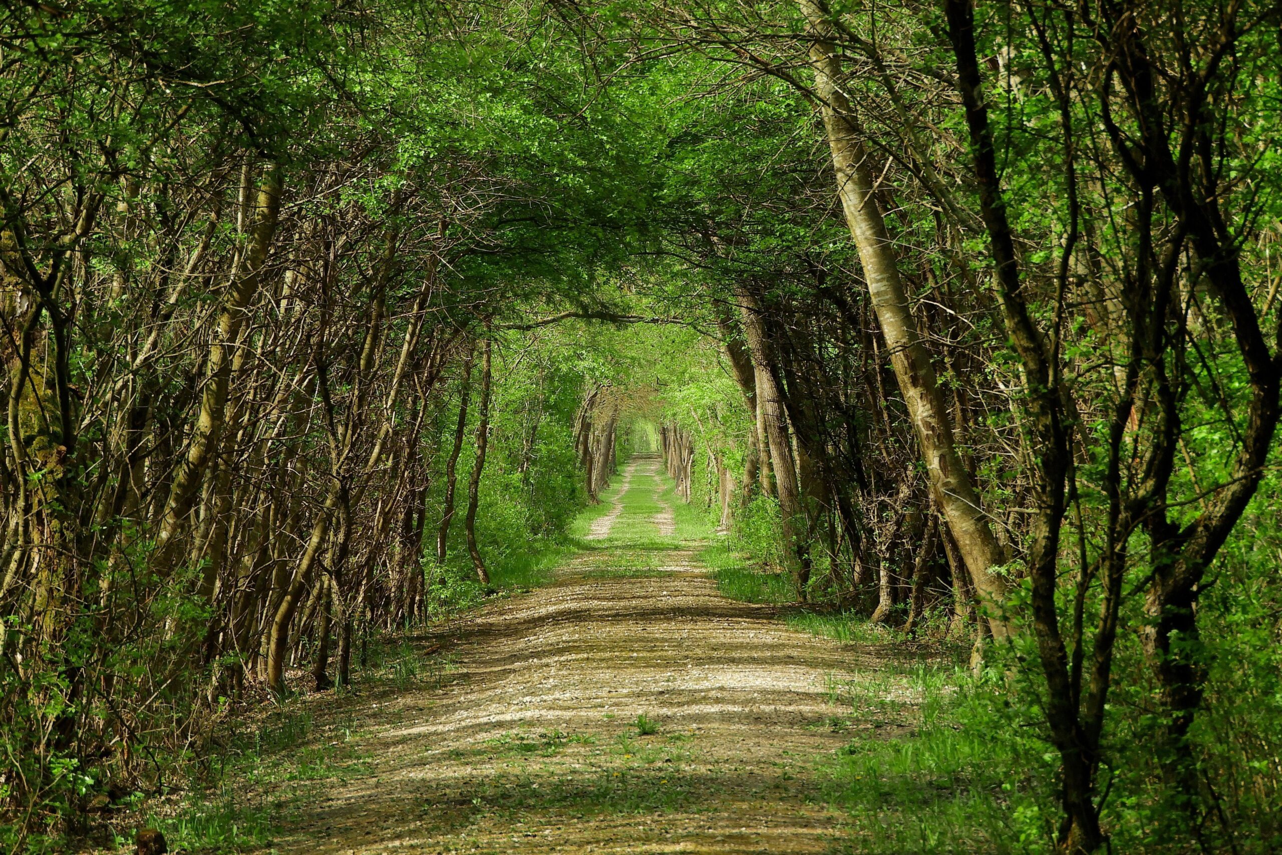 Teljes termelési lánc