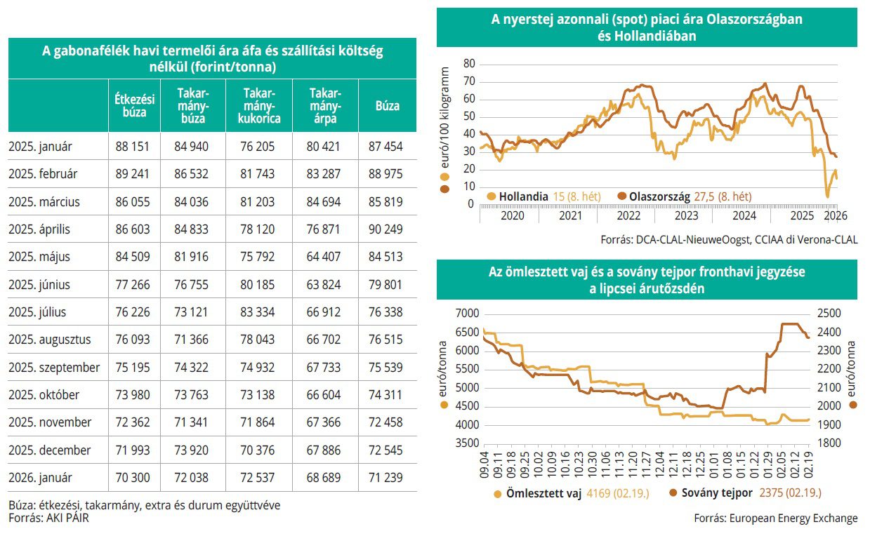 aki_2026_09_gabonafelek_tejtermekek_arutozsde