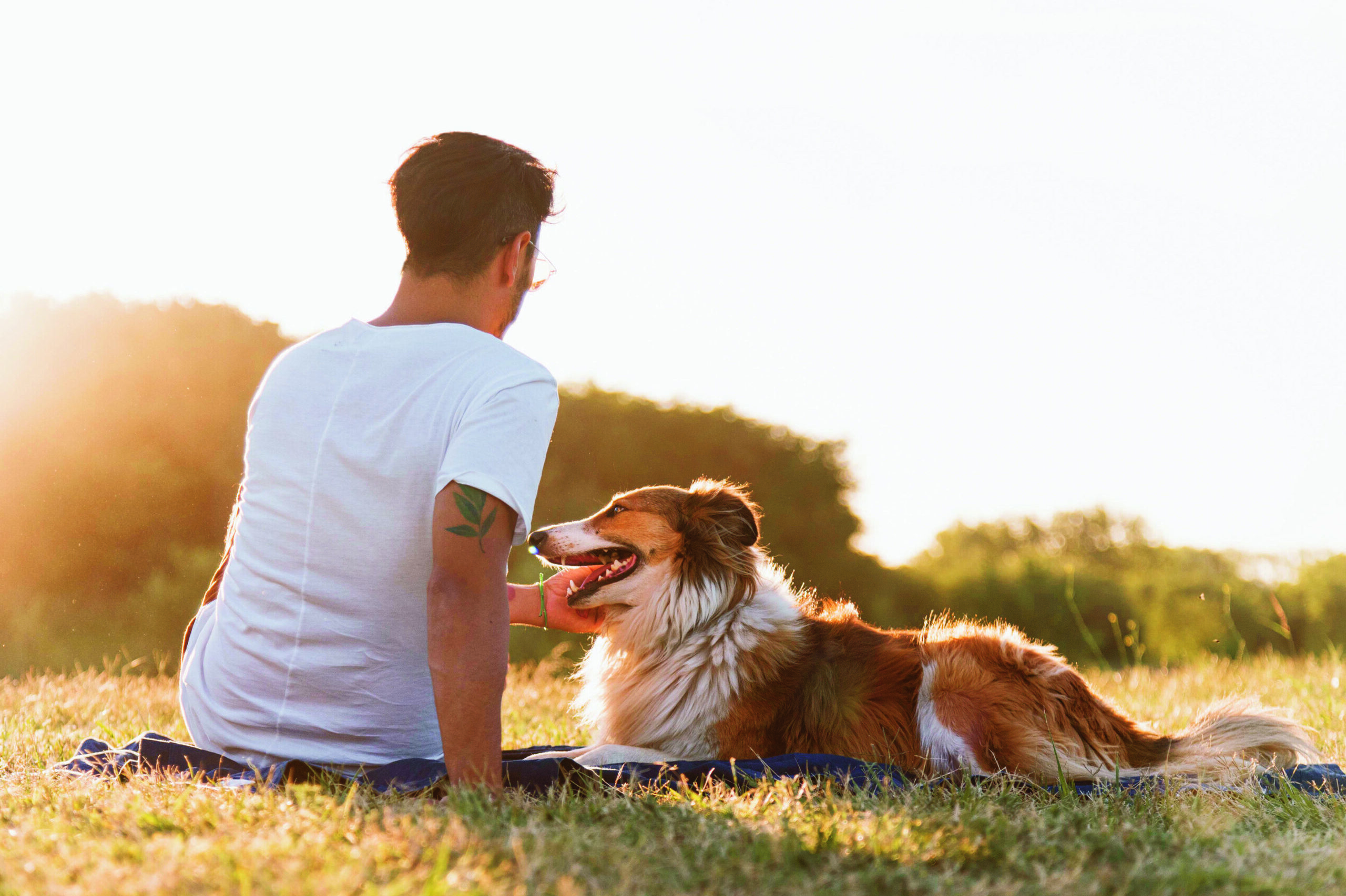 Lehet állatok nélkül élni, csak nem érdemes
