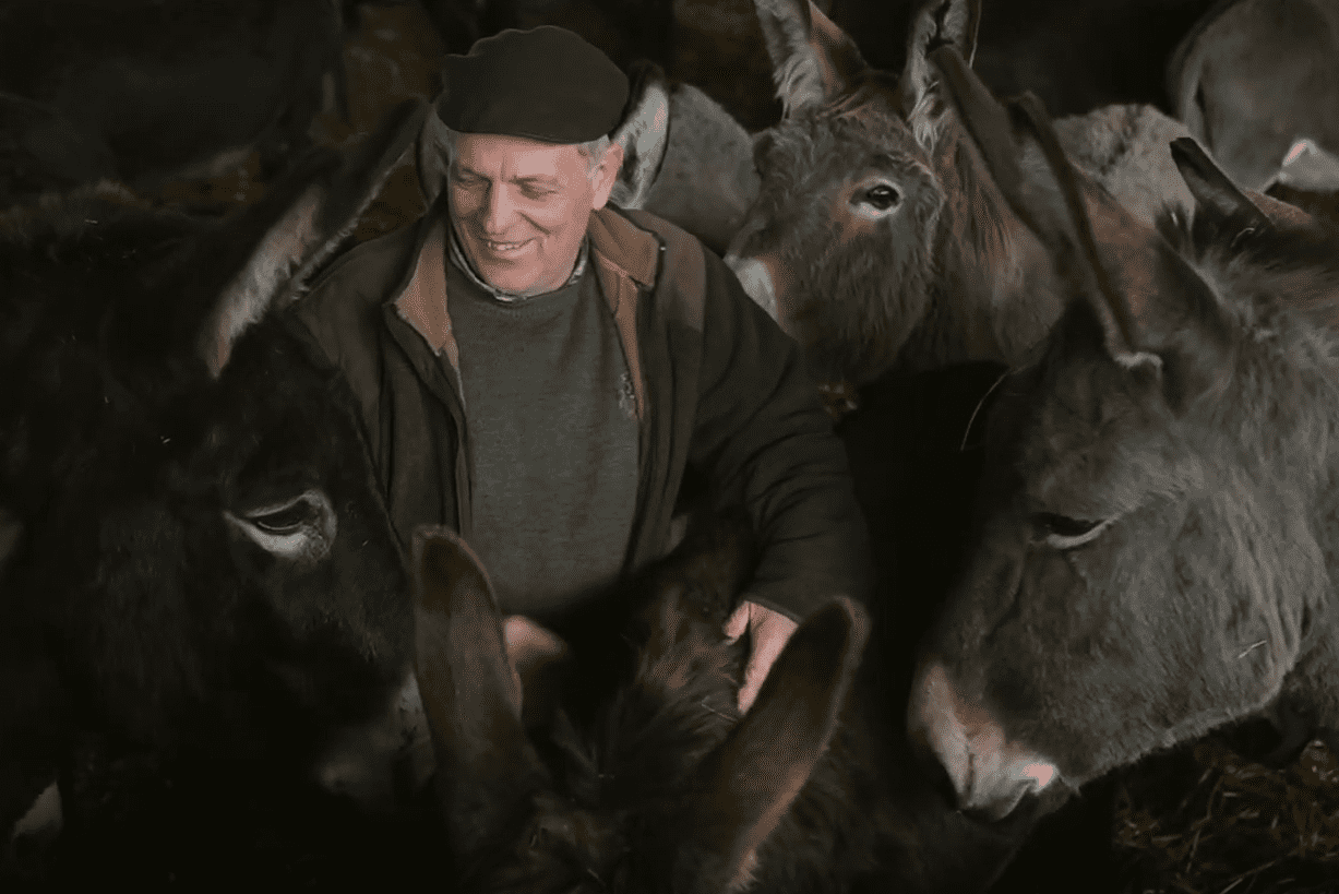 Vízmegtartás – támogatás, szabályozás, gazdálkodói döntés