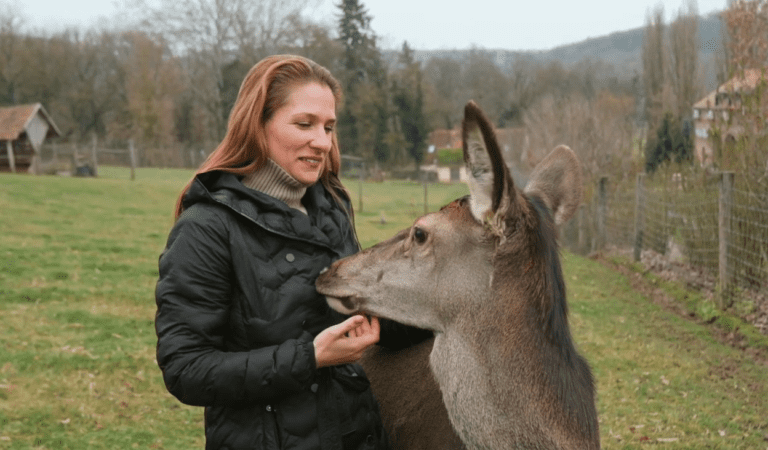 szarvas Bőszénfa gyepgazdálkodás Bokor Ádám