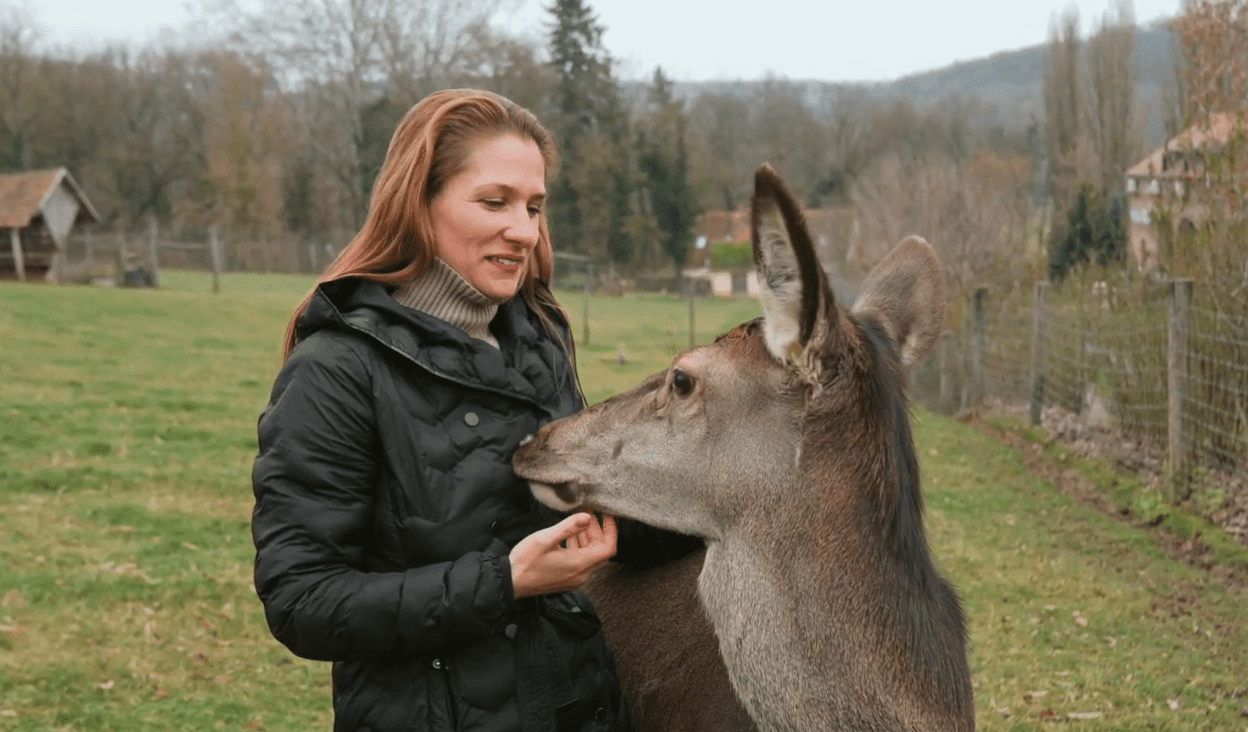 szarvas Bőszénfa gyepgazdálkodás Bokor Ádám