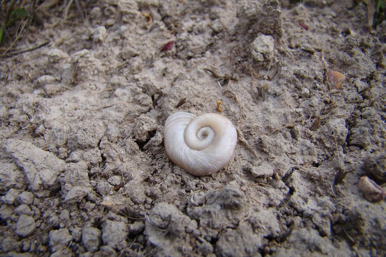 Ismeretlen világ a talpunk alatt – 90 új állatfaj egyetlen év alatt