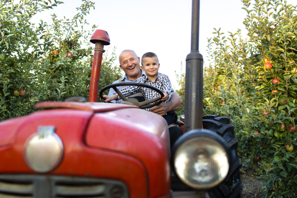 generációváltás öreg fiatal gazda gyerek traktor gyümölcsös