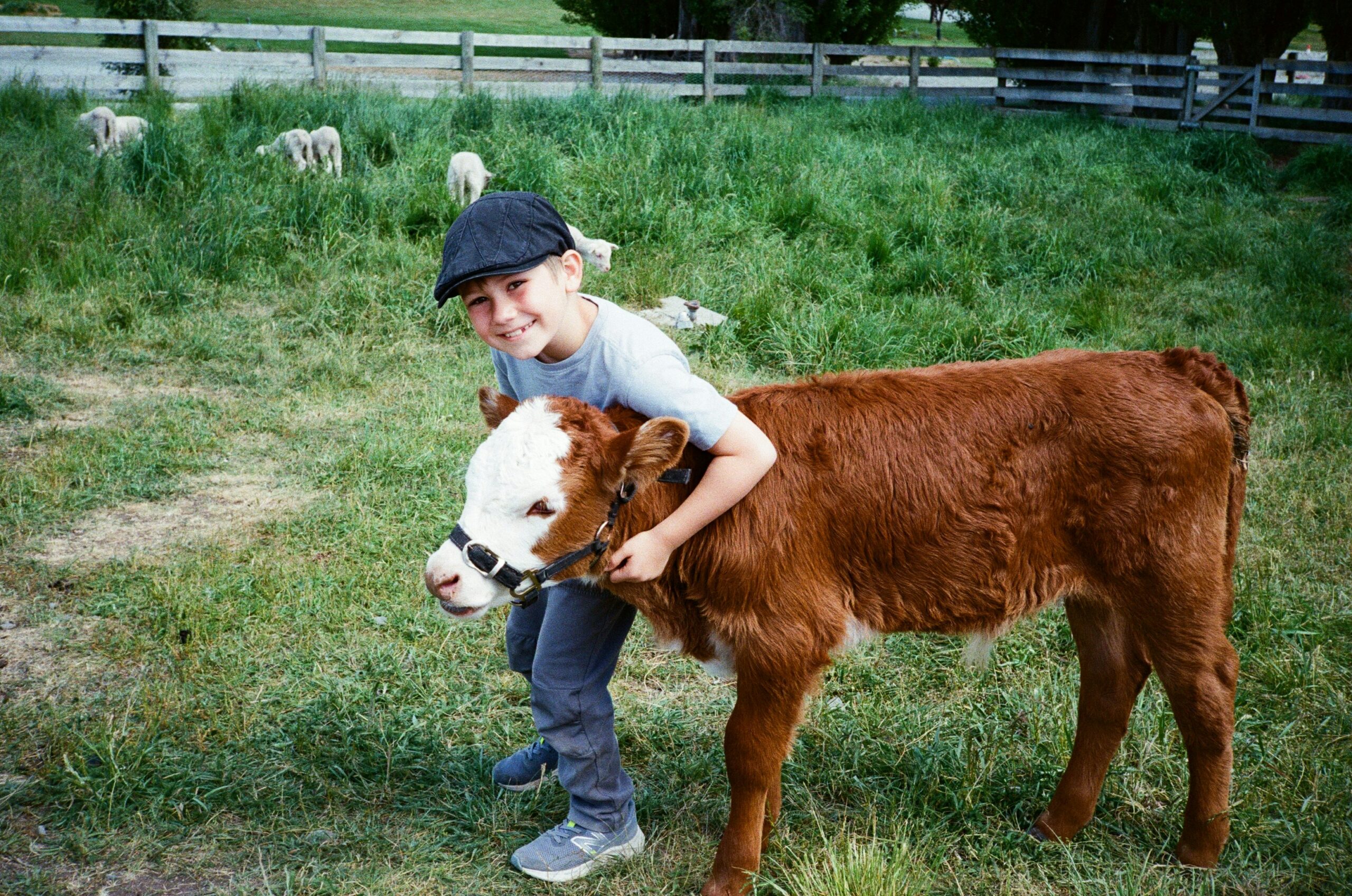 Spanyolország a generációváltás mellé áll