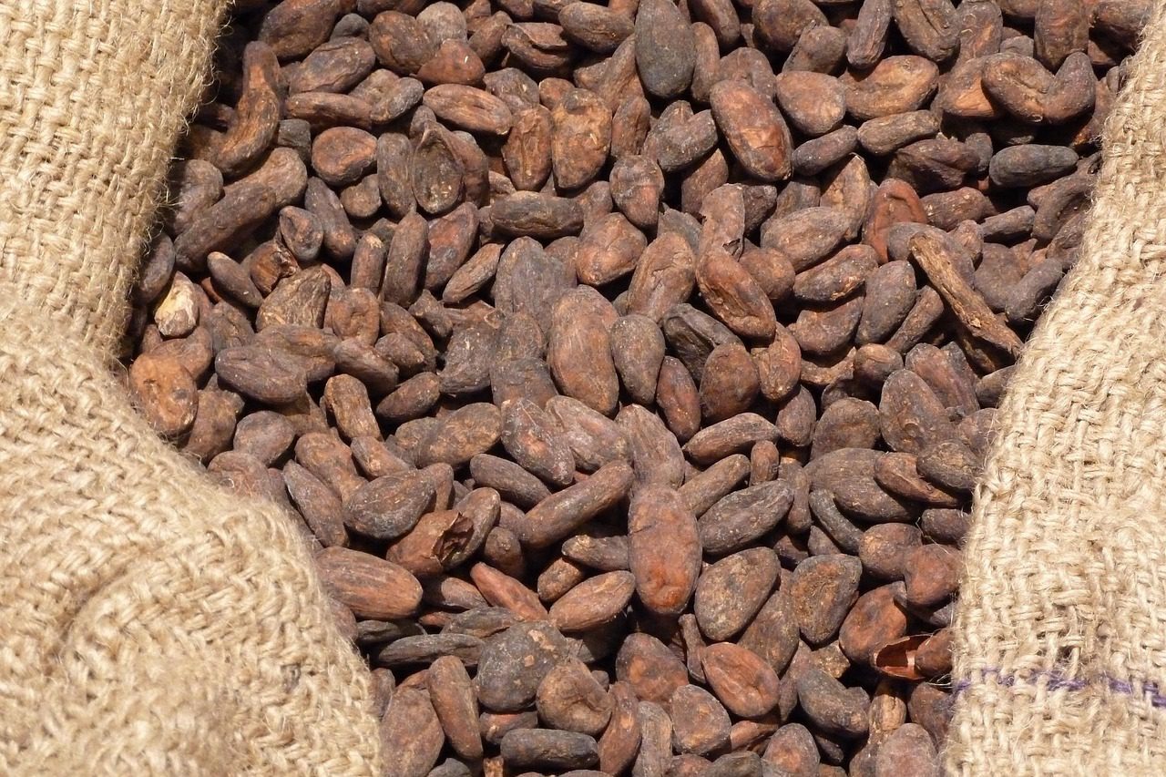 50 ezer tonna kakaó rostokol a kikötőben