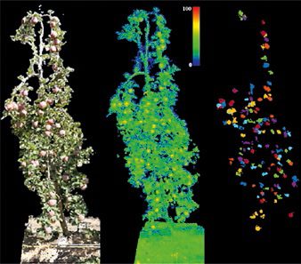 A spanyol Lleidai Egyetemen is fejlesztenektávérzékelésre alapozott precíziós gyümölcstermesztési módszereket