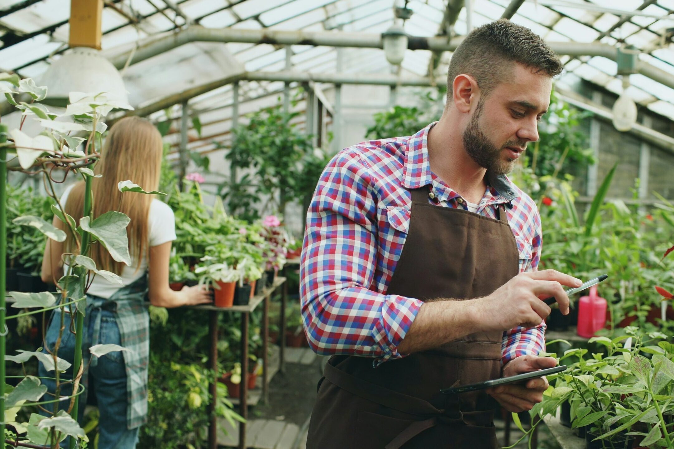 Automatikus adatörökítéssel startol az új gazdálkodási év