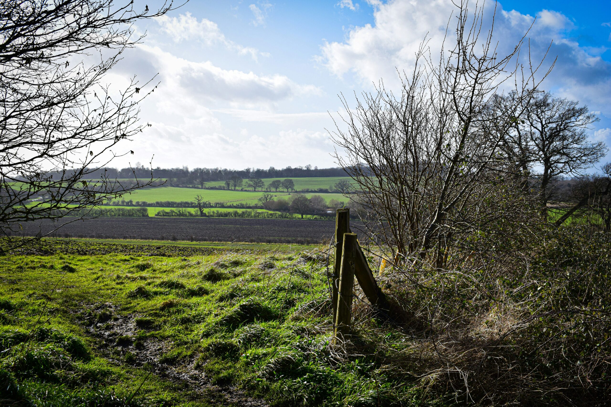 Agrometeorológia: Tavaszias fordulat a földeken