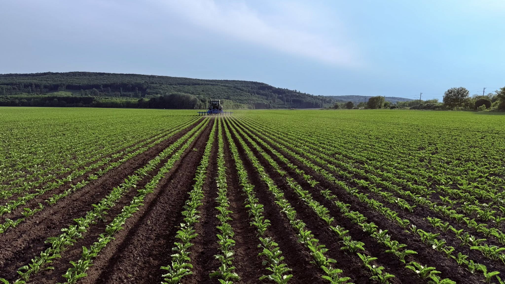 Gazdakörkép: magas műtrágyaárak nehezítik a gazdálkodást